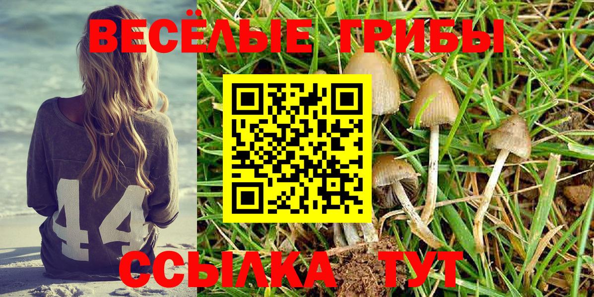 Нефтекамск  Галлюциногенные грибы мицелий  Вход с VPN  Галлюциногенные грибы Magic Shrooms 